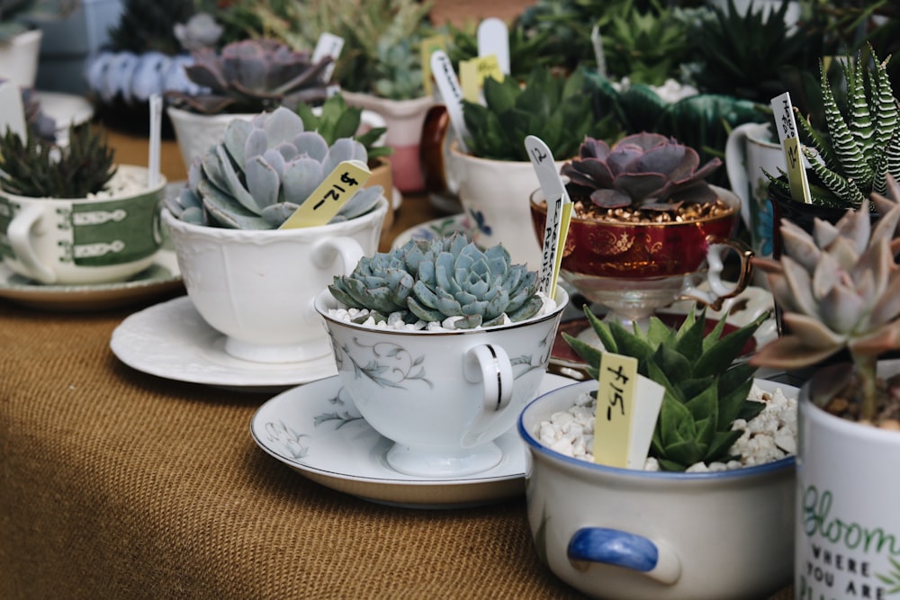 white ceramic teacup on white ceramic saucer