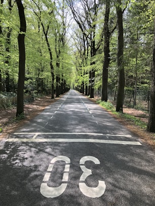 gray concrete road between trees during daytime