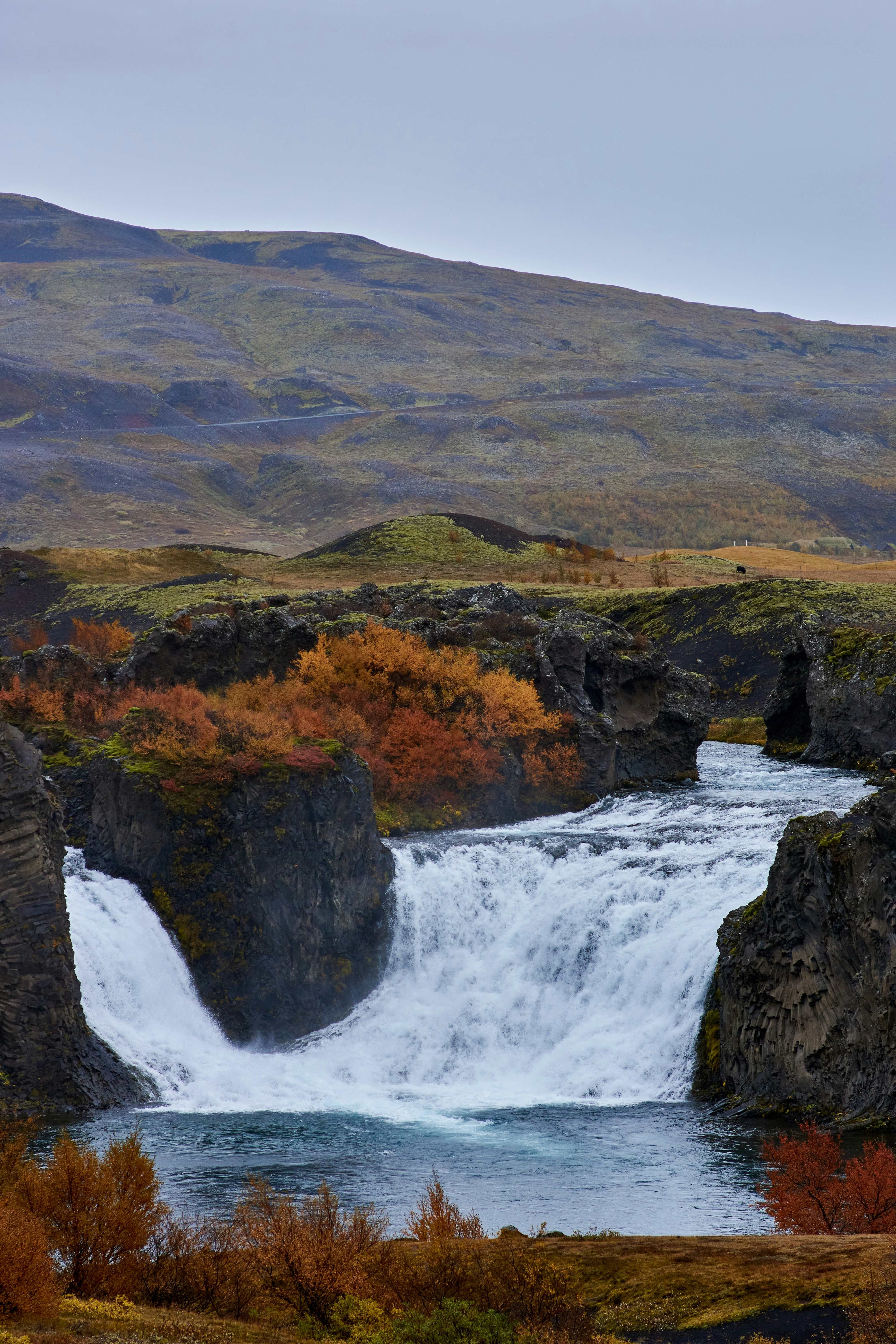 Photo by wolfgang_hasselmann