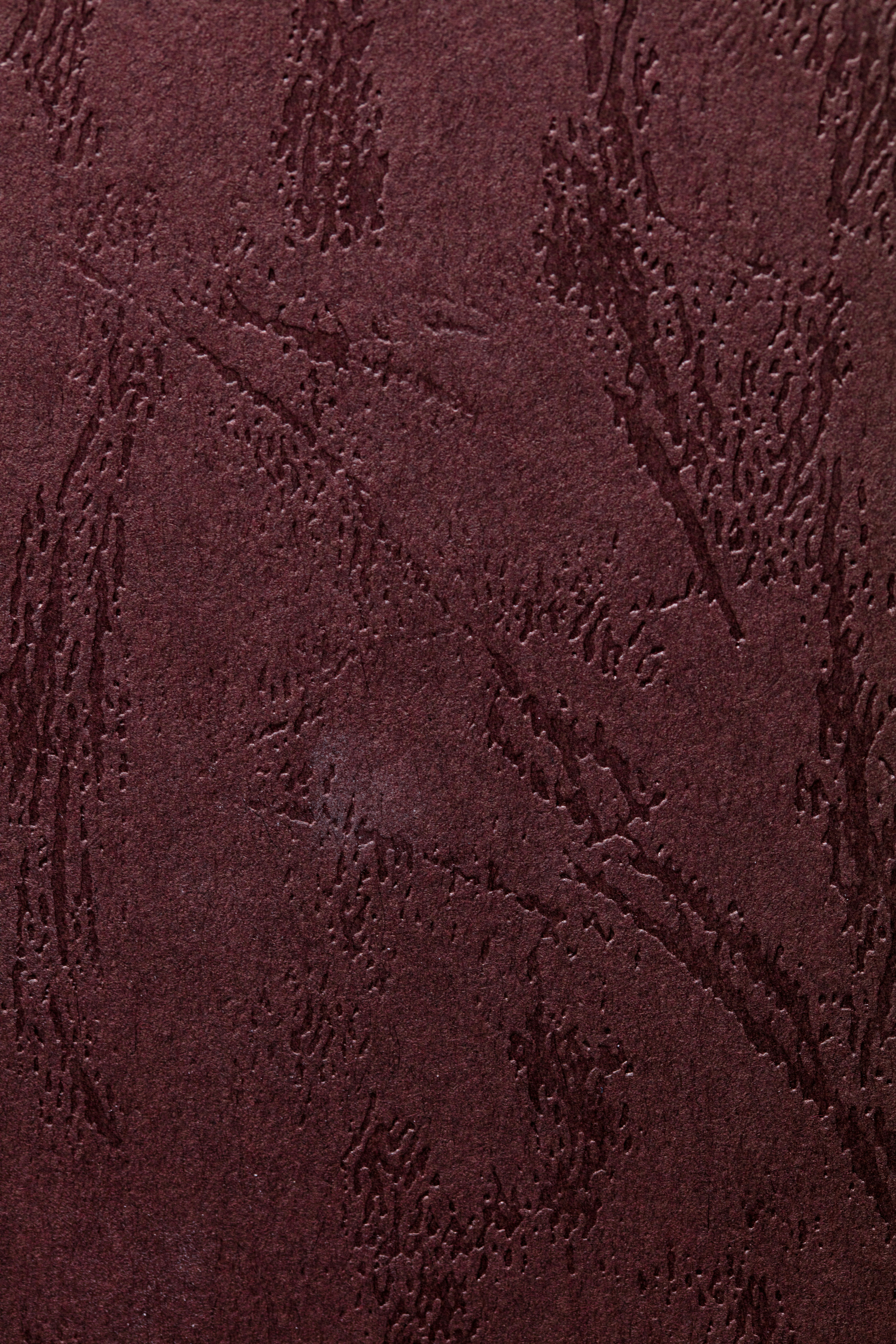 A person holding a custom leather-bound book.