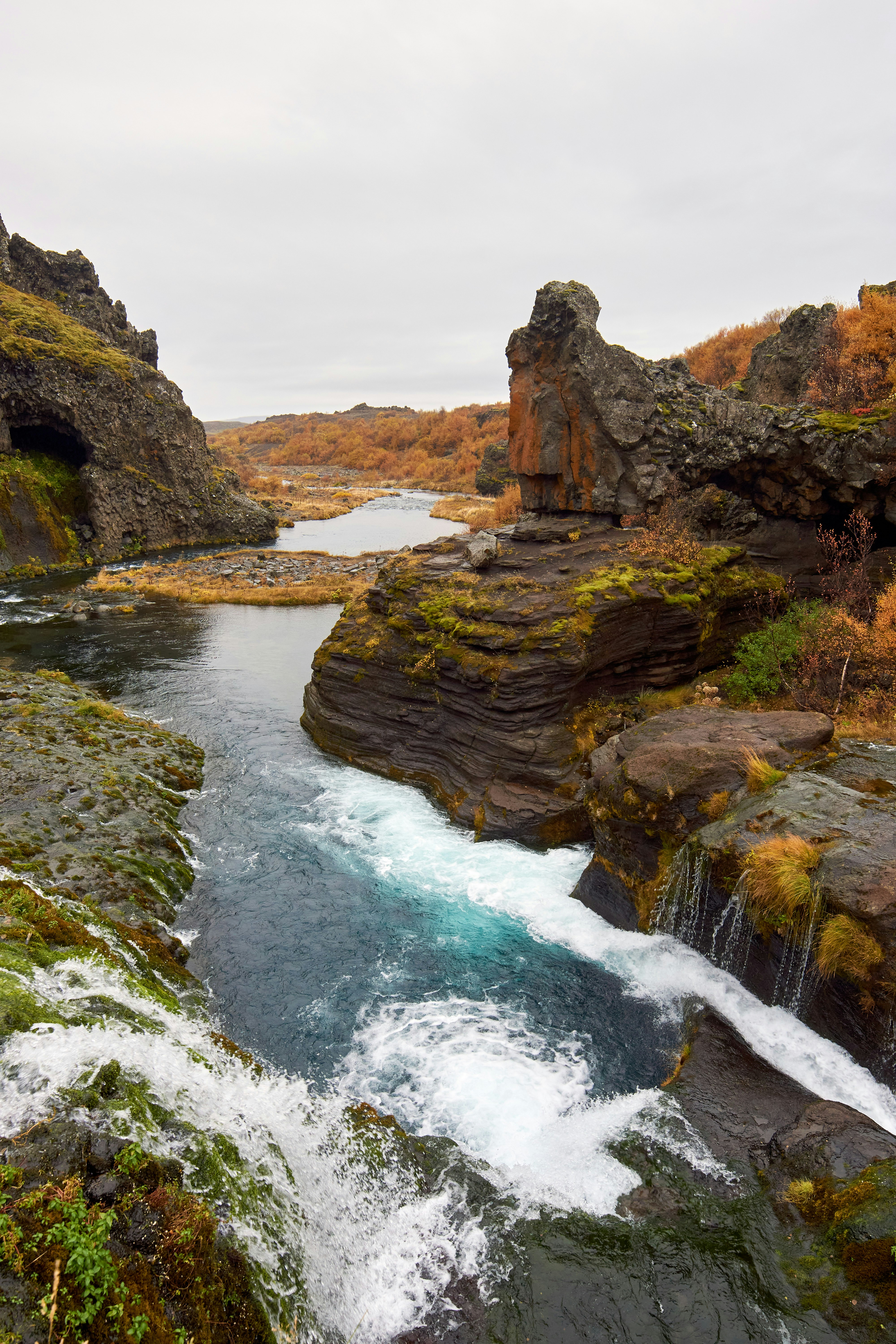 Photo by wolfgang_hasselmann