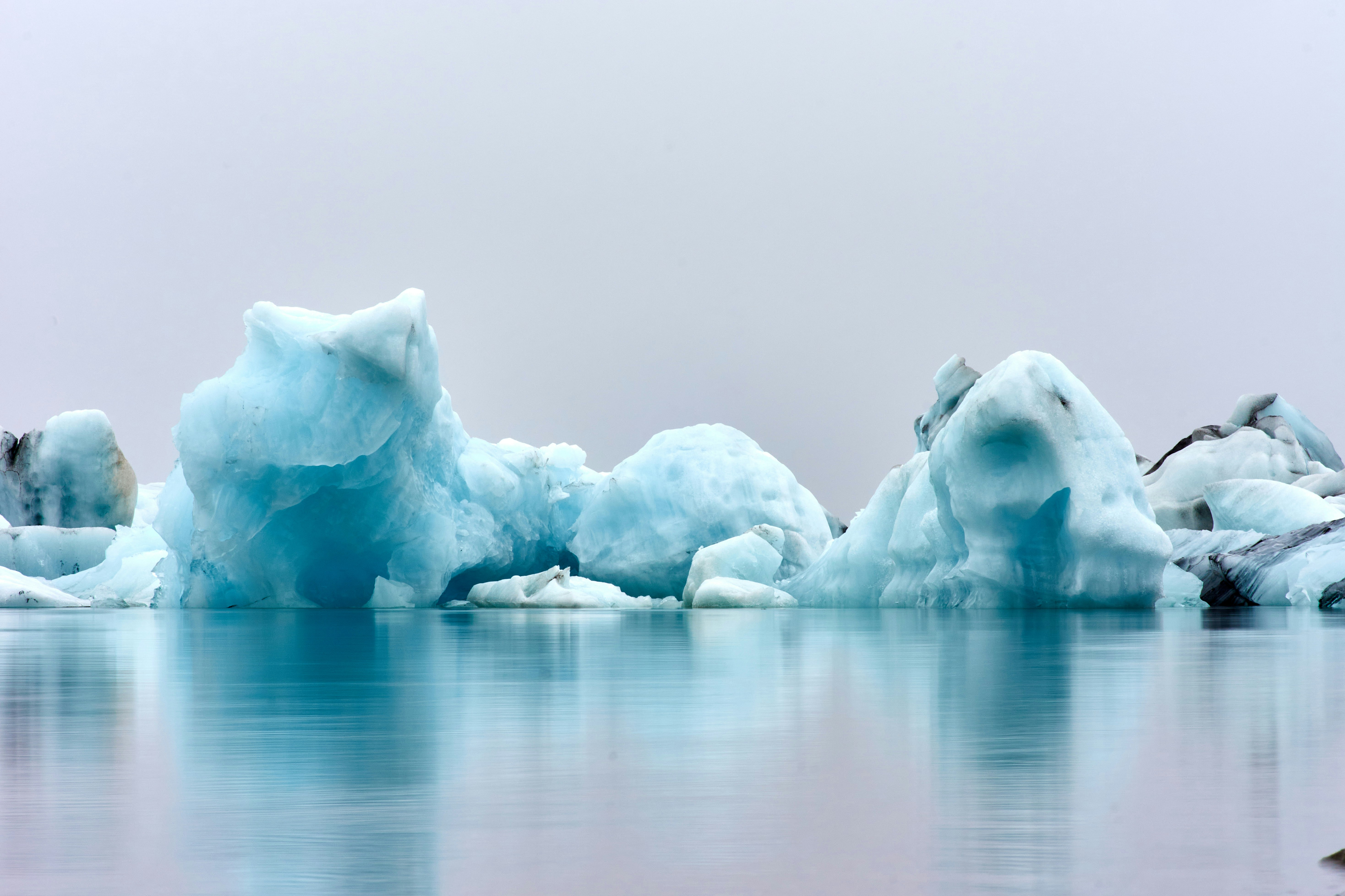 Photo by wolfgang_hasselmann