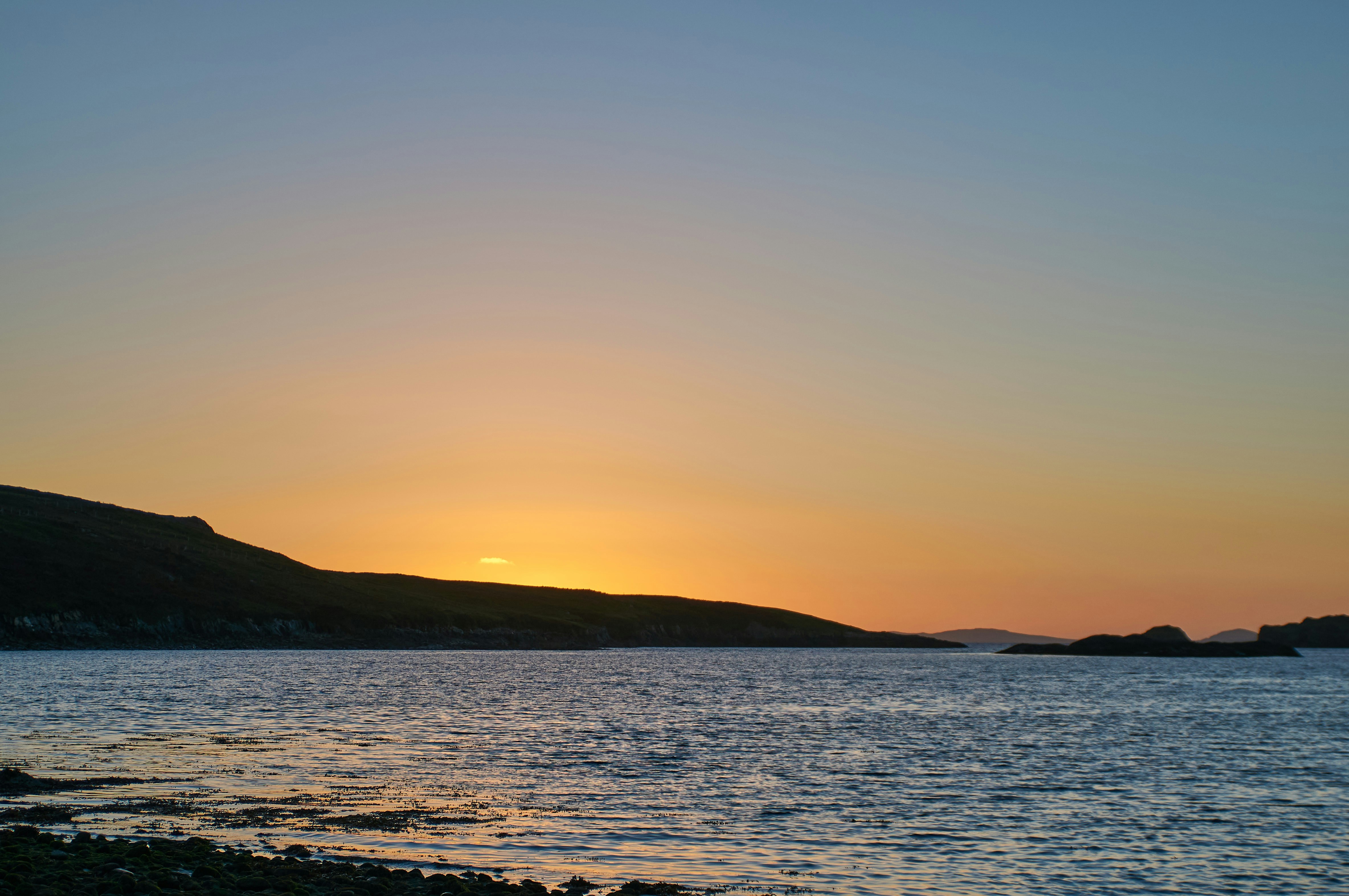 Photo by wolfgang_hasselmann