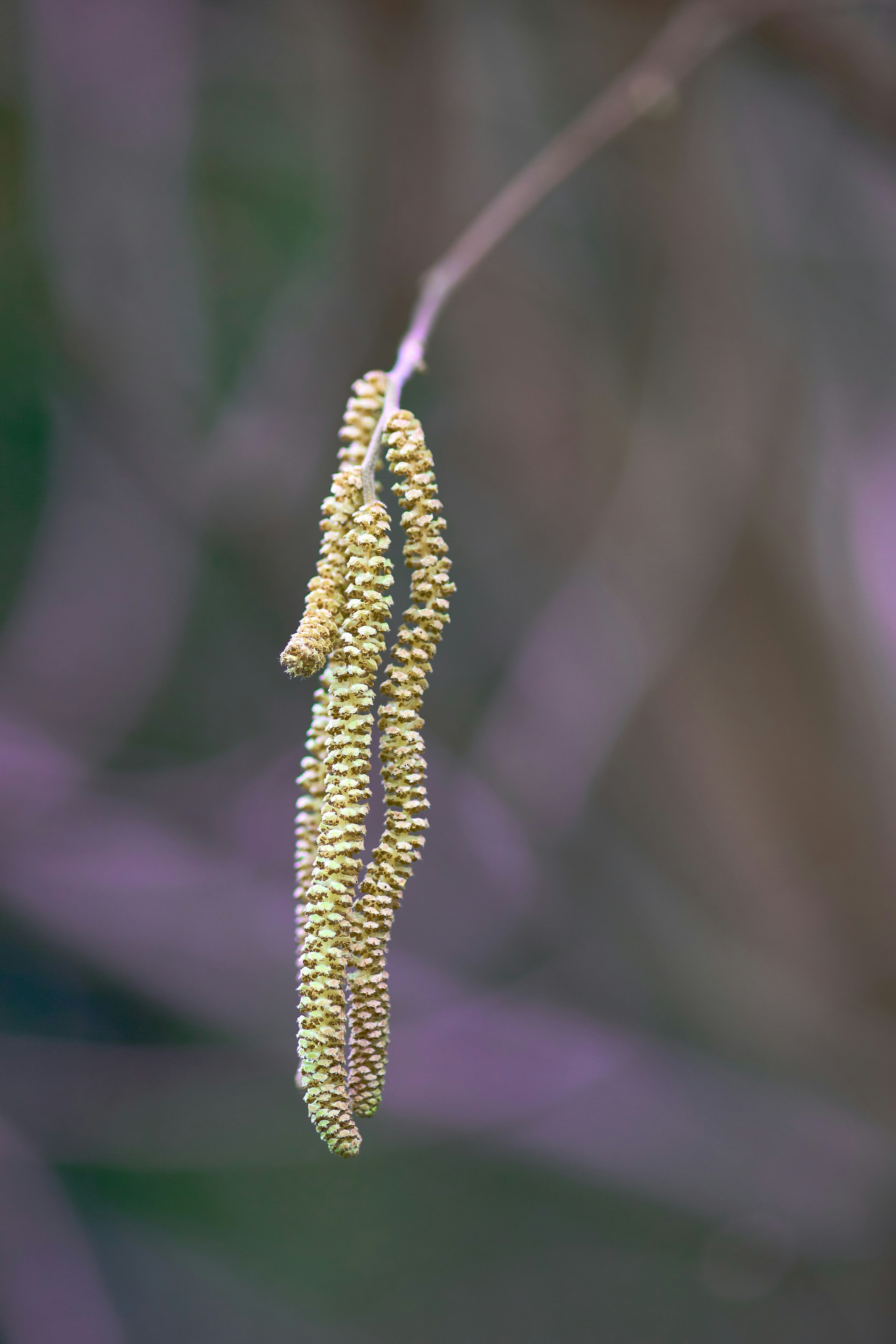 Boat Safety Equipment everybody else Should Own