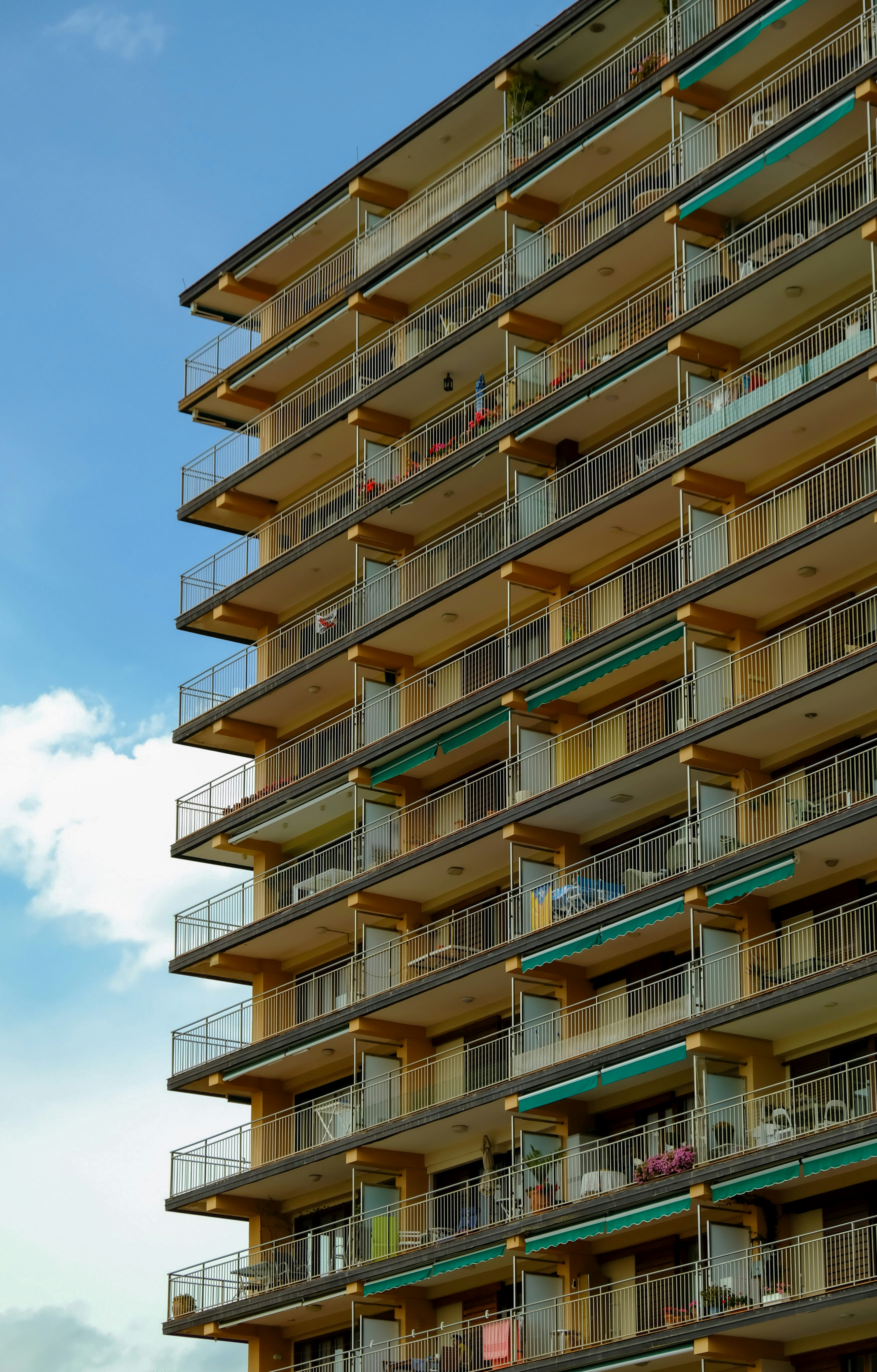 Photo by aleksandar_akr