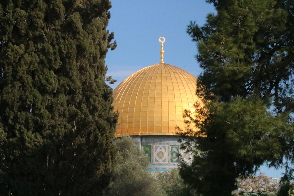 brown and white dome building