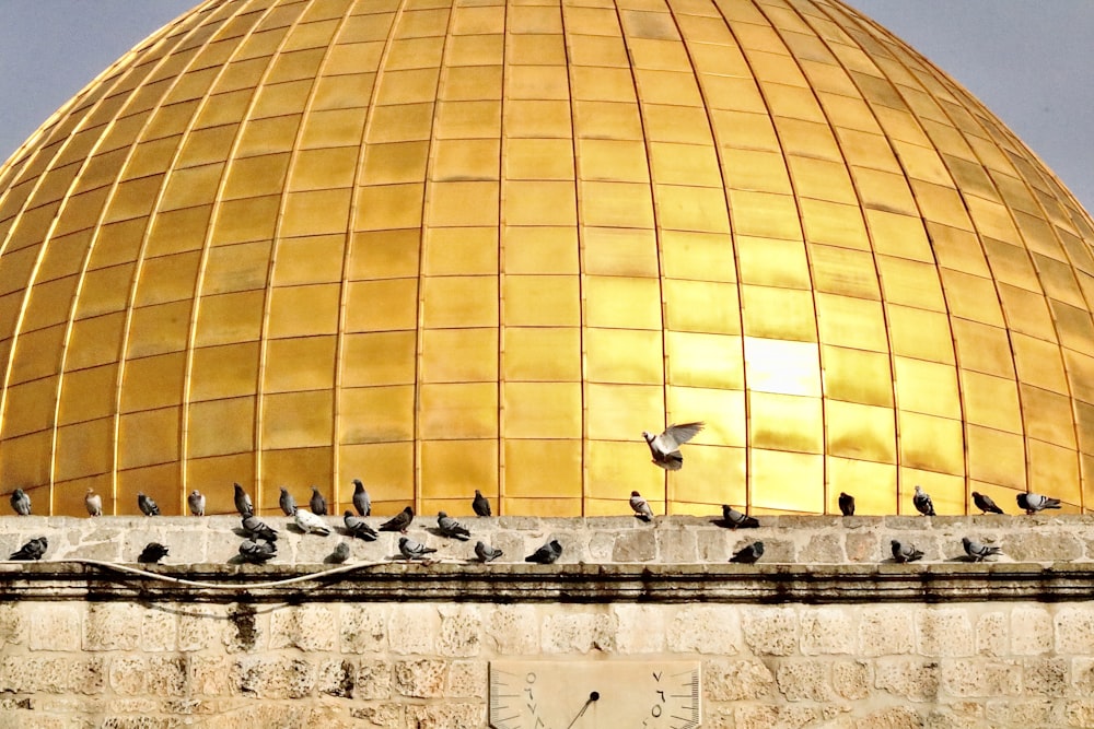 yellow dome building during daytime