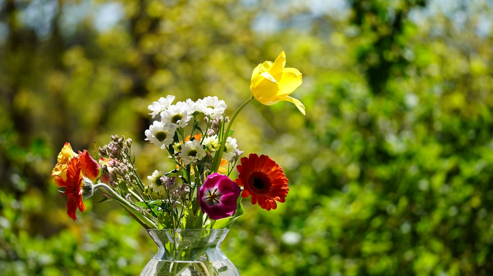 red and white flowers in clear glass vase