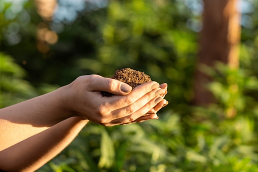 A close-up of del franco's hands gently holding soil, with a blurred background of a golden wheat field under a warm sunset.