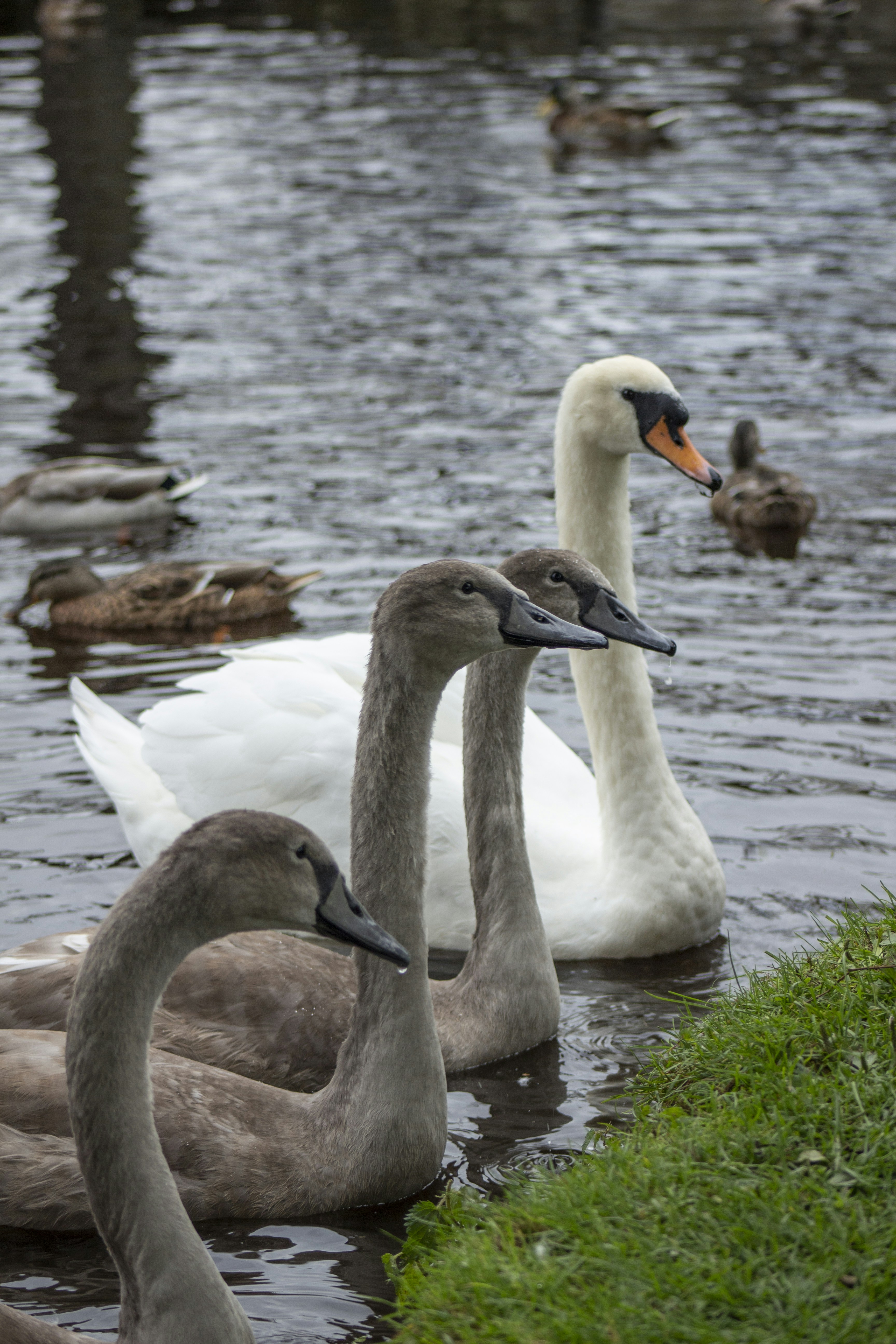 Photo by courtzbella