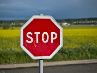 red stop road sign on green grass field during daytime
