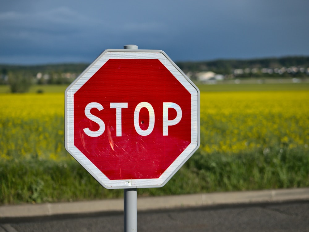 red stop road sign on green grass field during daytime
