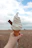 Close-up of a hand holding a surf-shaped spoon scooping creamy ice cream against a sunny coastal background.