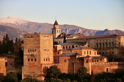 brown concrete building near green trees during daytime
