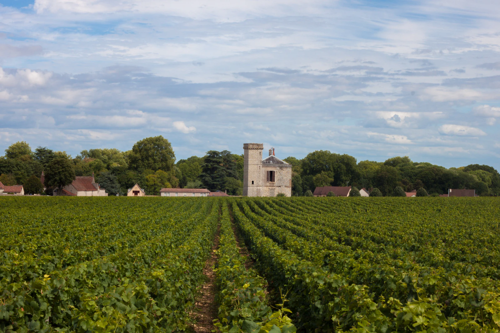 Vignoble — Bourgogne