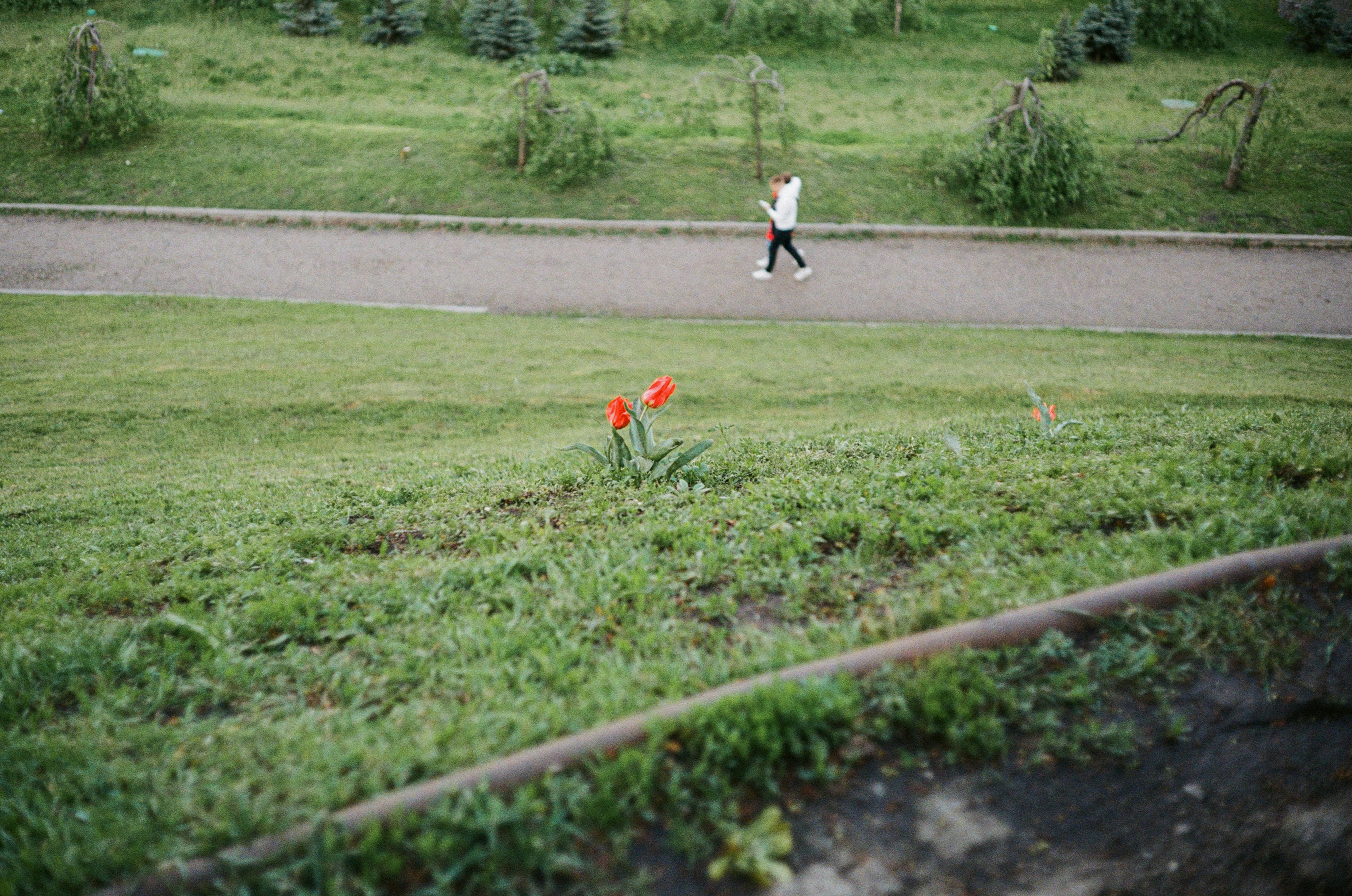 girl in red dress running on green grass field during daytime