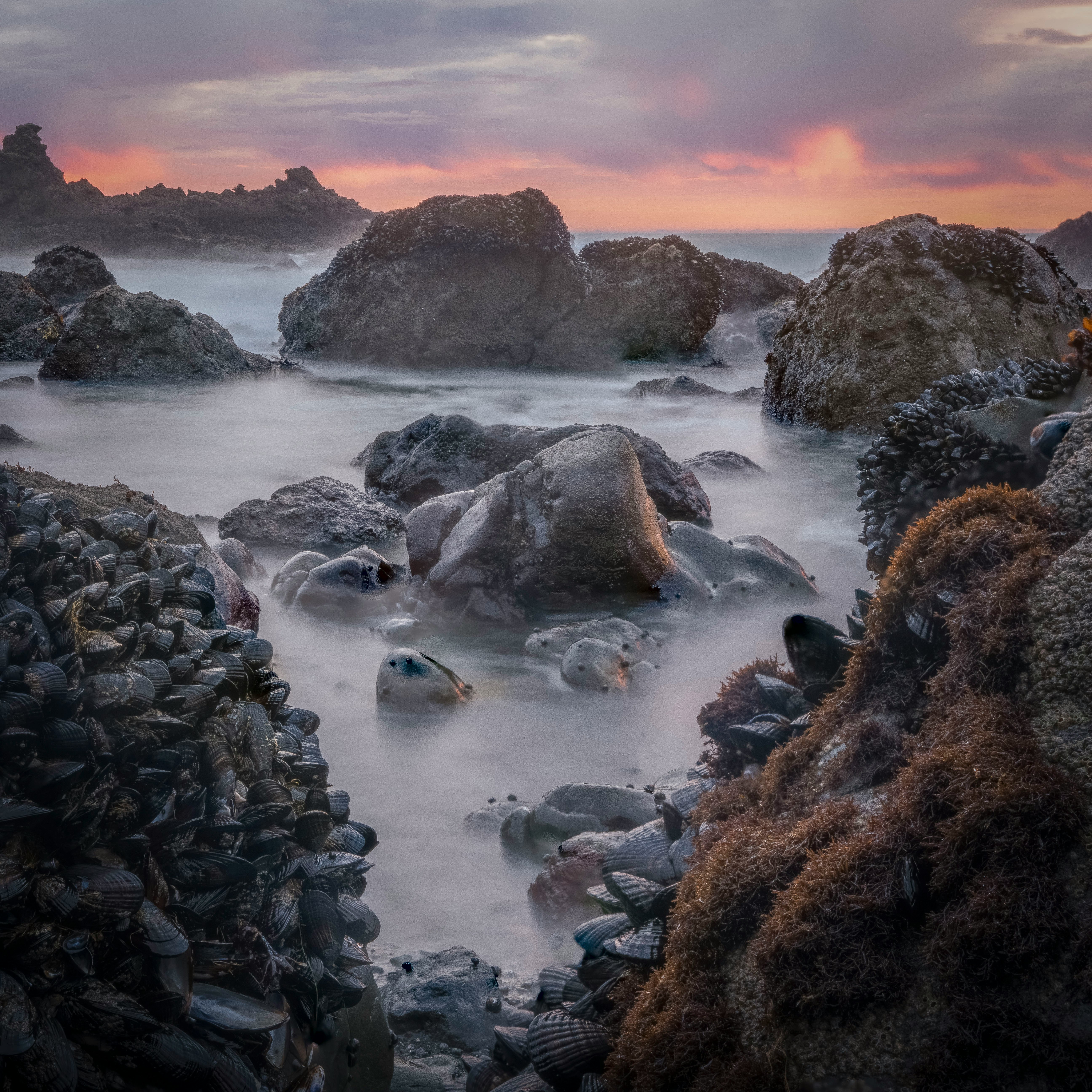 rocky shore with rocks under cloudy sky during daytime