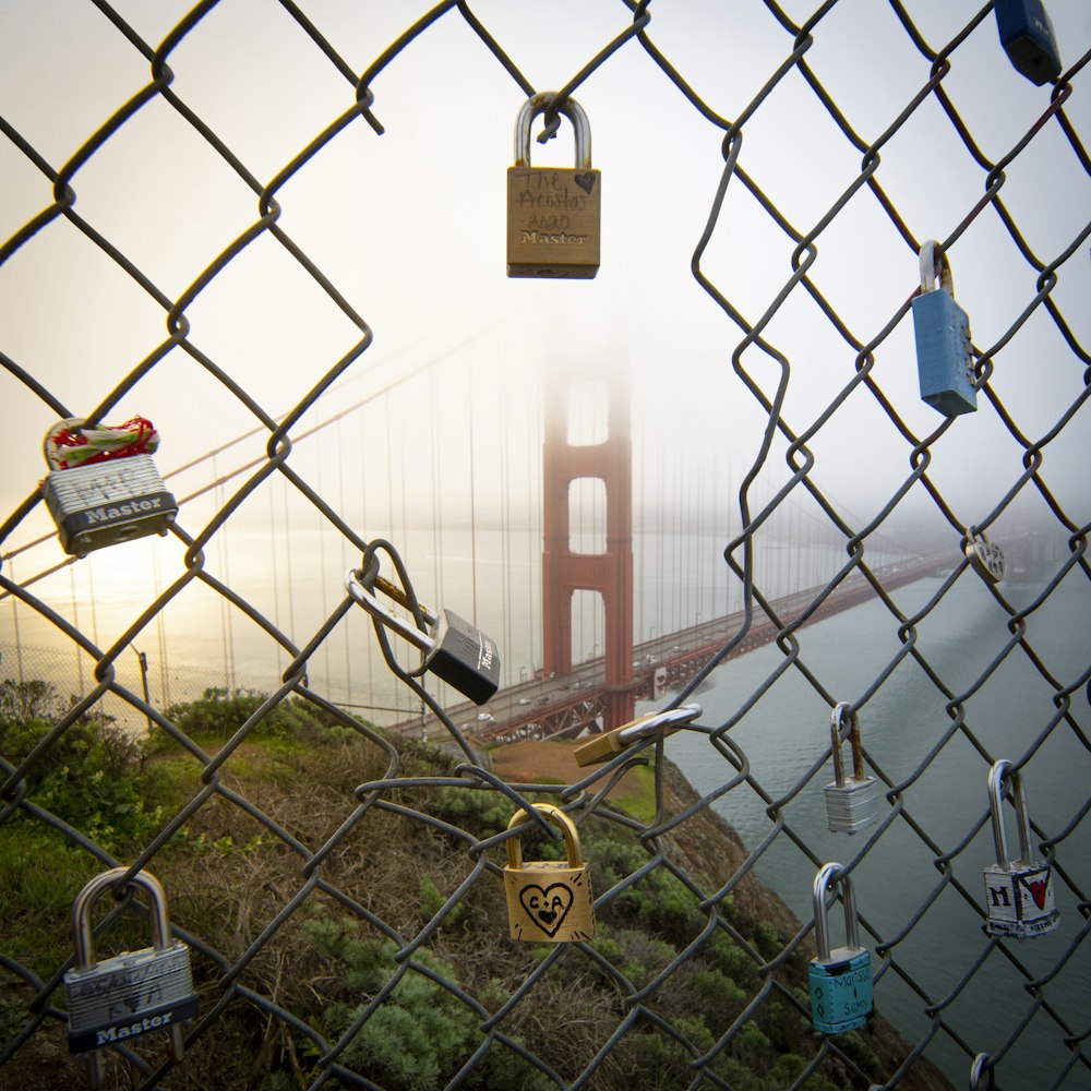 cadenas sur clôture à mailles losangées