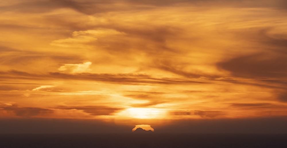 silhouette of bird flying over the clouds during sunset