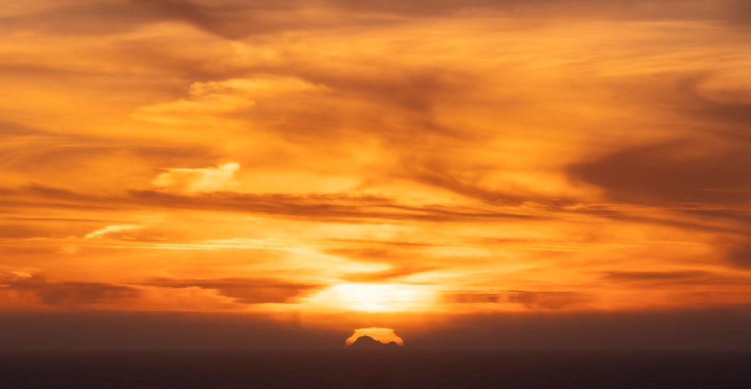 silhouette of bird flying over the clouds during sunset