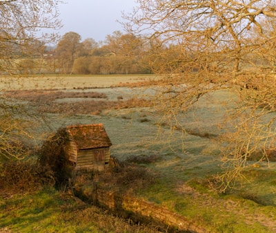 Small farming implements neatly organized in a rustic garden shed with morning light streaming in.