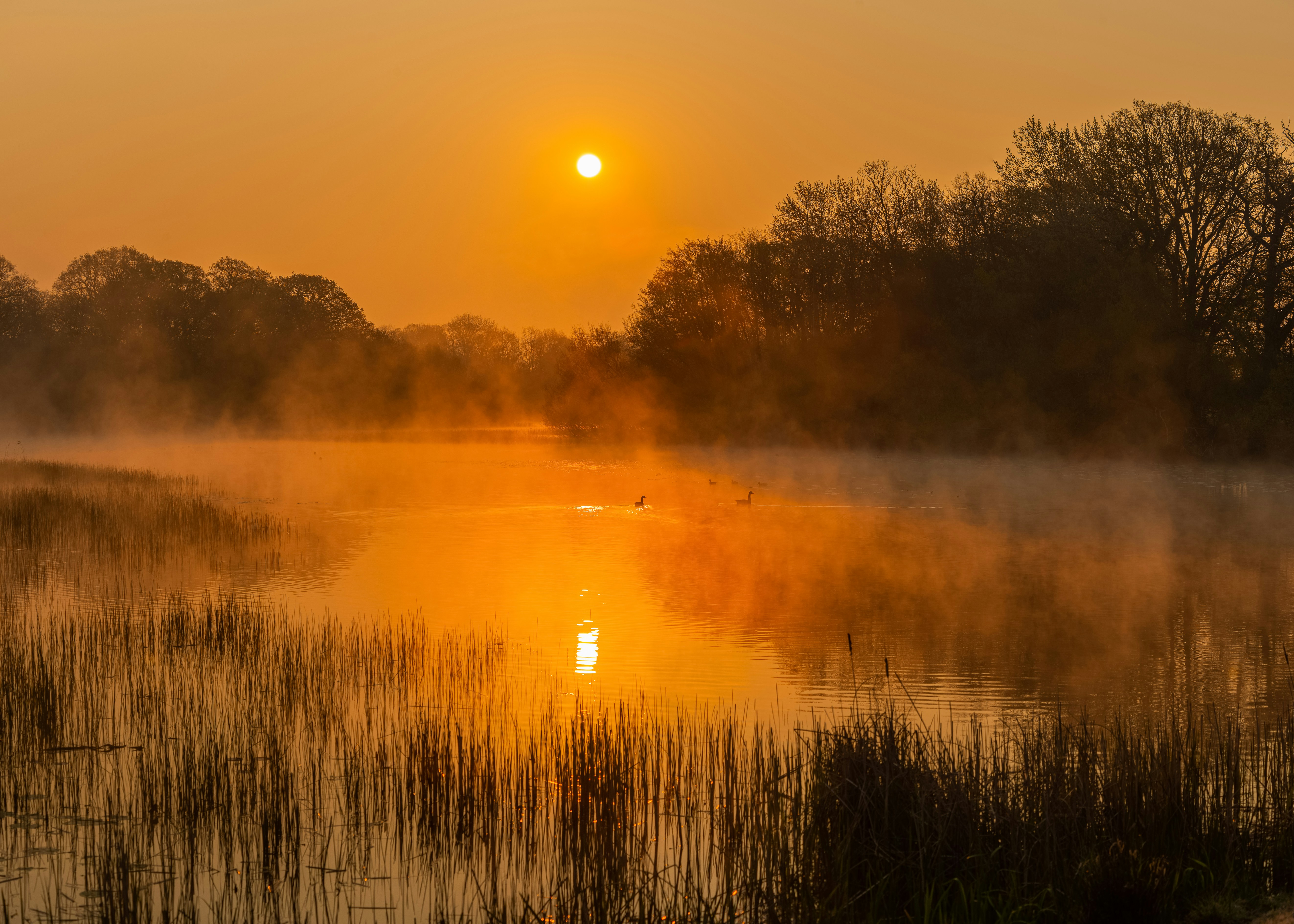 Photo by steer_photography