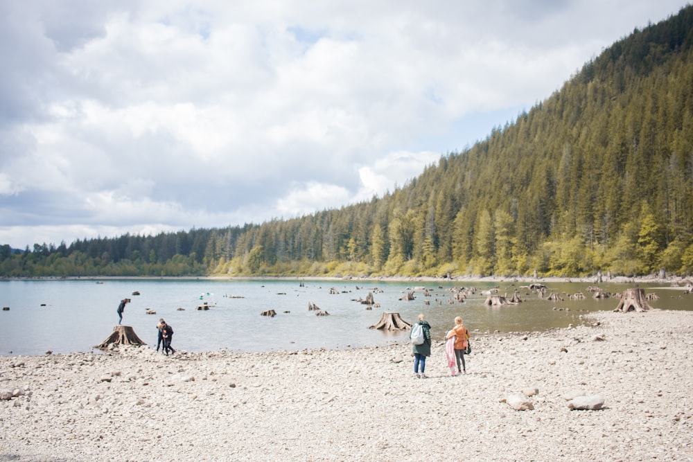 people walking on beach during daytime