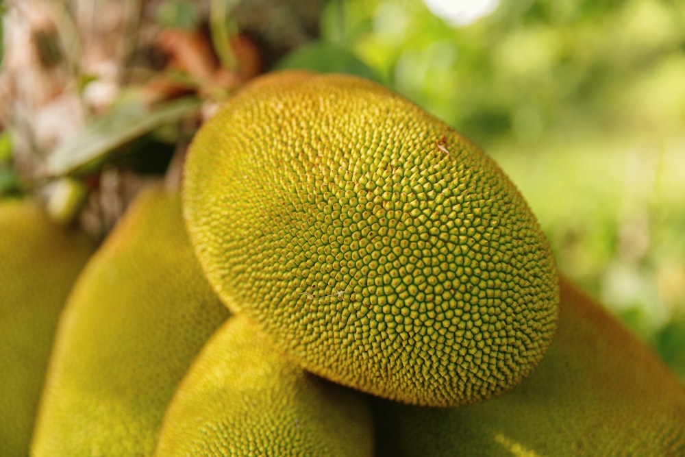 Fruta verde y amarilla en fotografía de primer plano