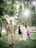 A happy family enjoying time in a lush green park. A man in a floral shirt and beige pants is holding hands with a little girl in a dark dress, and a woman in a white dress. They are playfully swinging the child. Sunlight filters through the foliage, creating a serene and warm atmosphere.