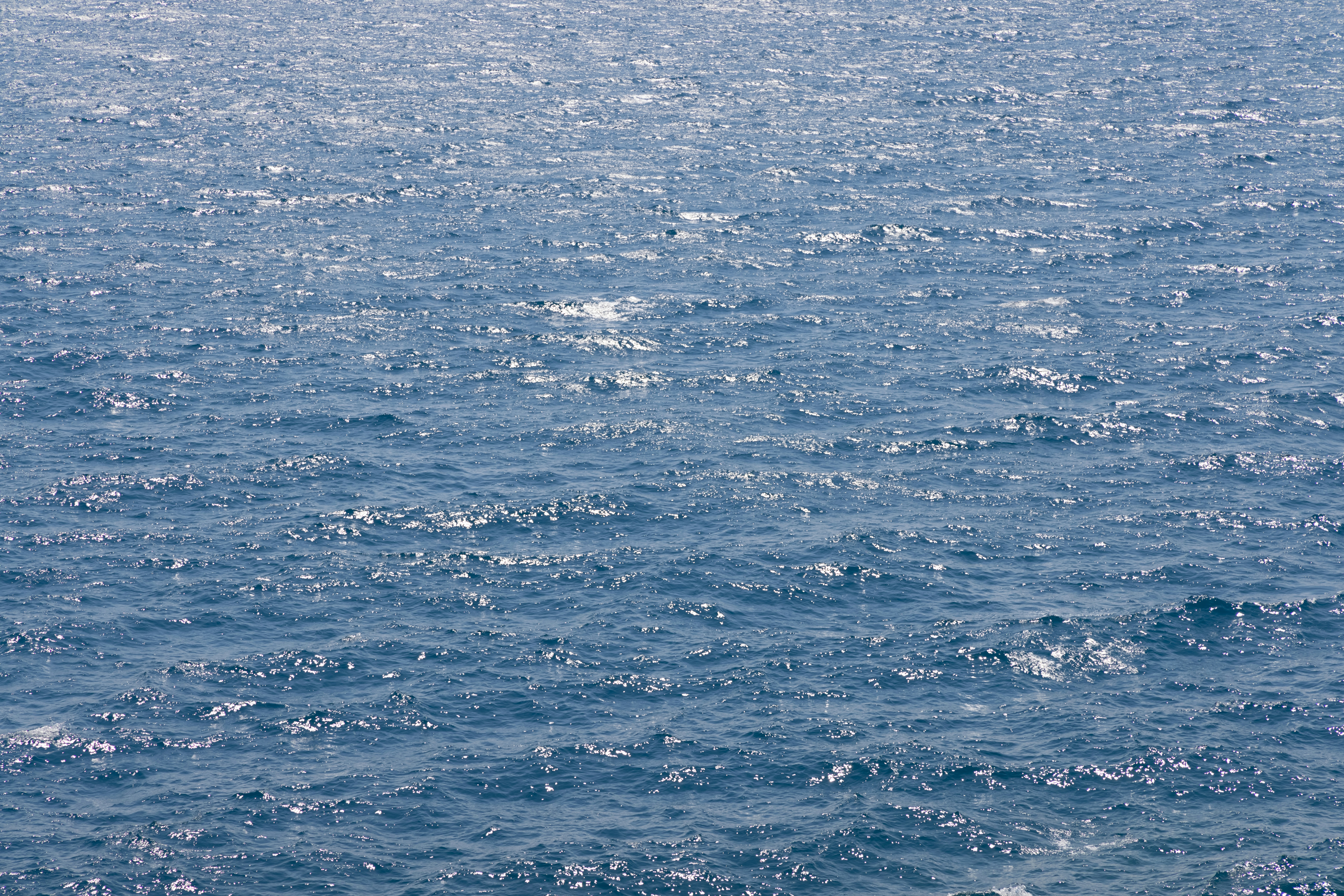 Photo by enginakyurt