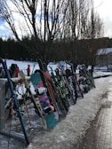 A variety of skis and snowboards are neatly lined up and resting against a rack outdoors, with snow covering the ground. Bare trees stand in the background, and a snowy landscape suggests a winter sport setting. A few people in warm clothing are visible in the distance, possibly near a ski resort area.