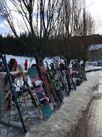A variety of skis and snowboards are neatly lined up and resting against a rack outdoors, with snow covering the ground. Bare trees stand in the background, and a snowy landscape suggests a winter sport setting. A few people in warm clothing are visible in the distance, possibly near a ski resort area.