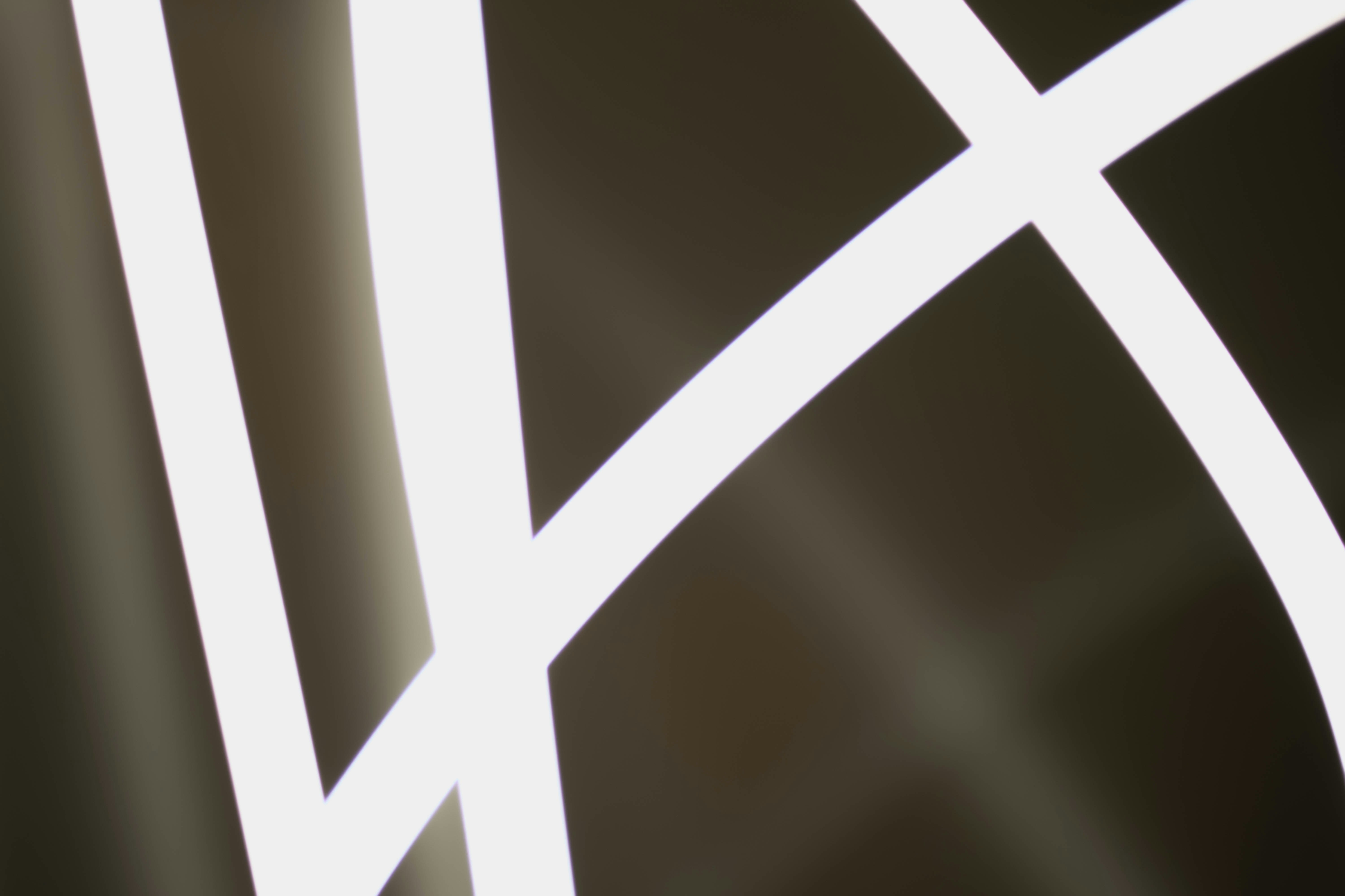 Photo by aleksandarzivkovic