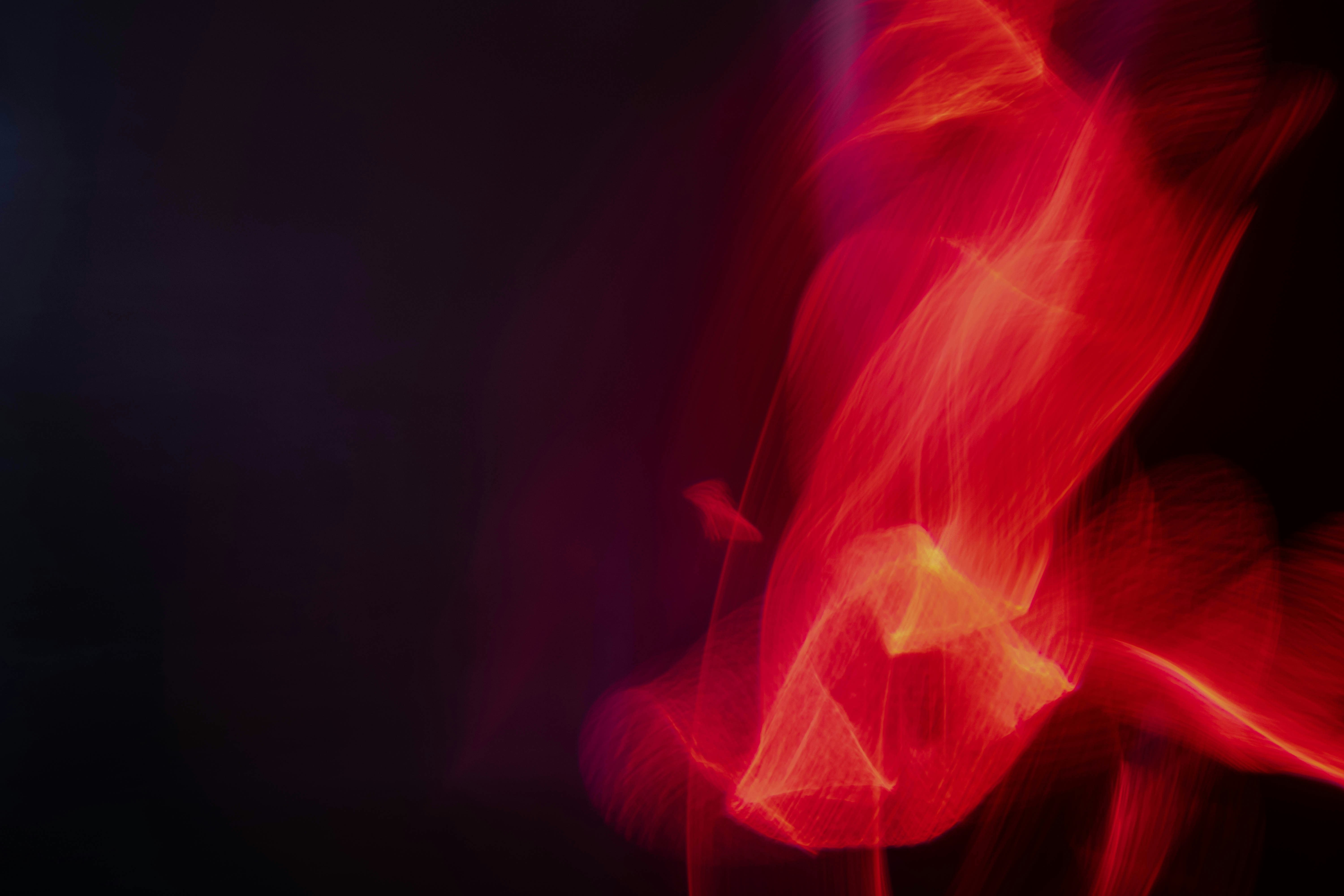 Photo by aleksandarzivkovic