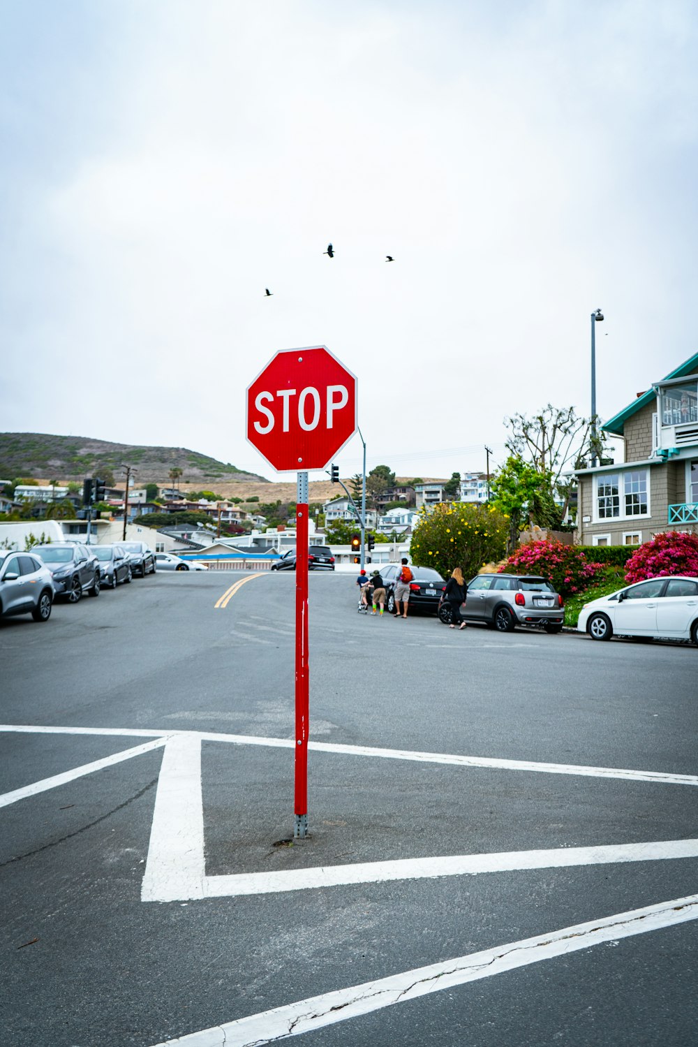red stop sign on road during daytime