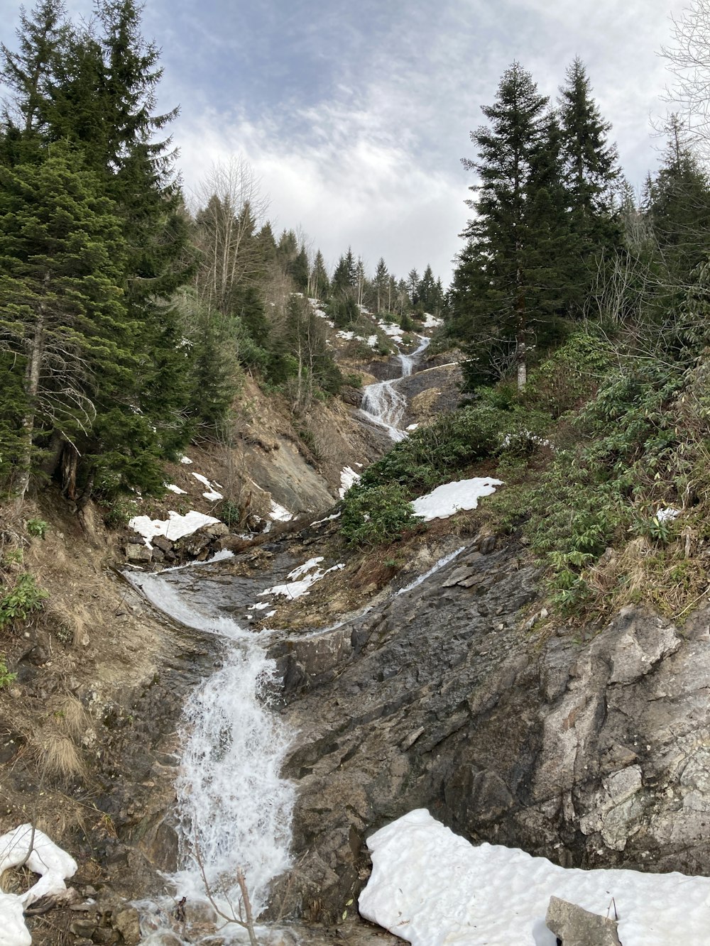 river between green trees under white clouds during daytime