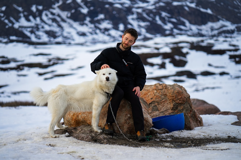 woman in black jacket sitting on rock beside white dog during daytime