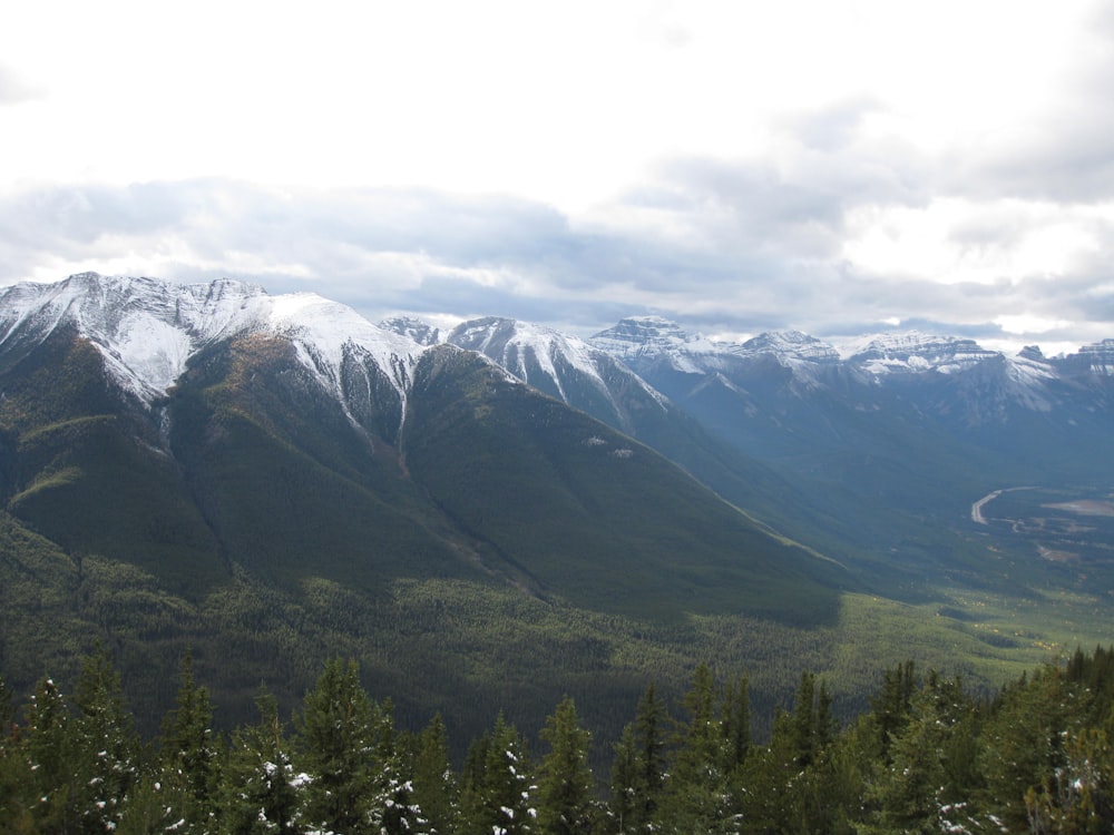 green trees on mountain during daytime