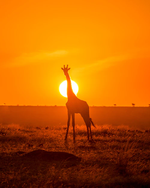 Kenya