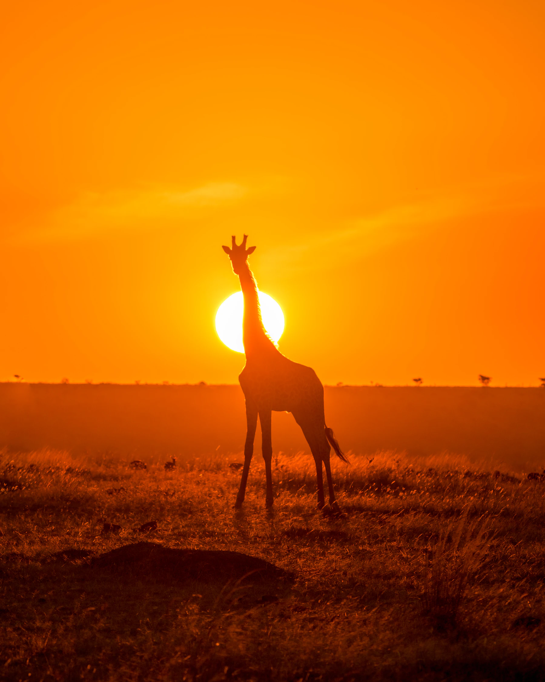 Kenia