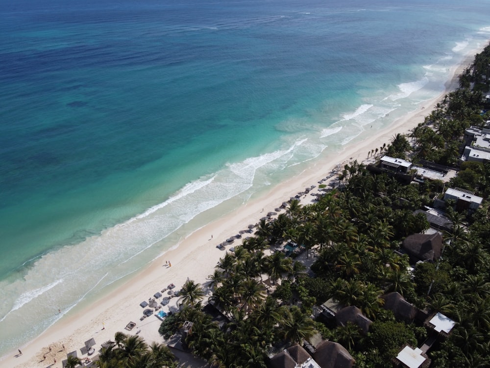 aerial view of beach during daytime