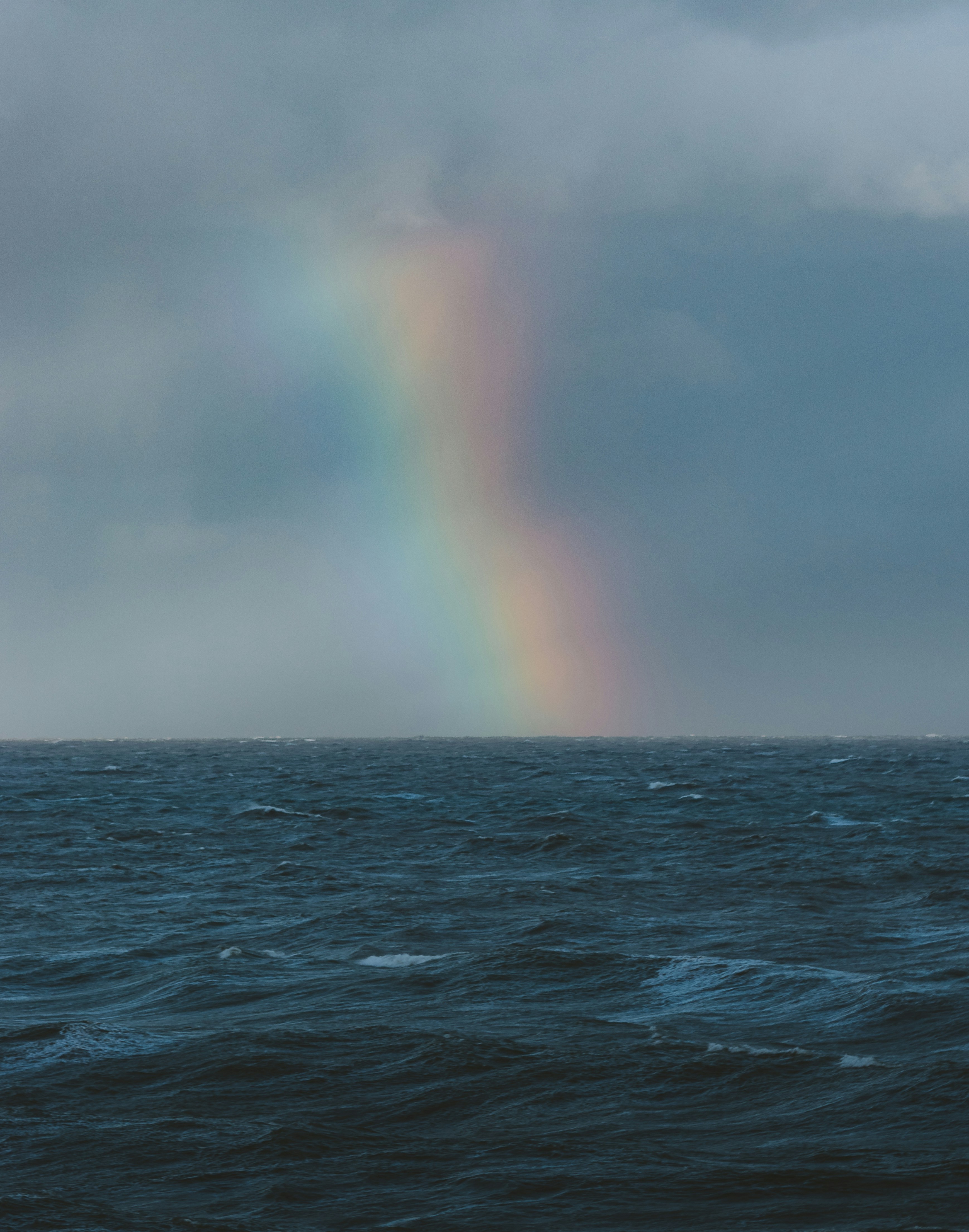 Photo by guzmanbarquin