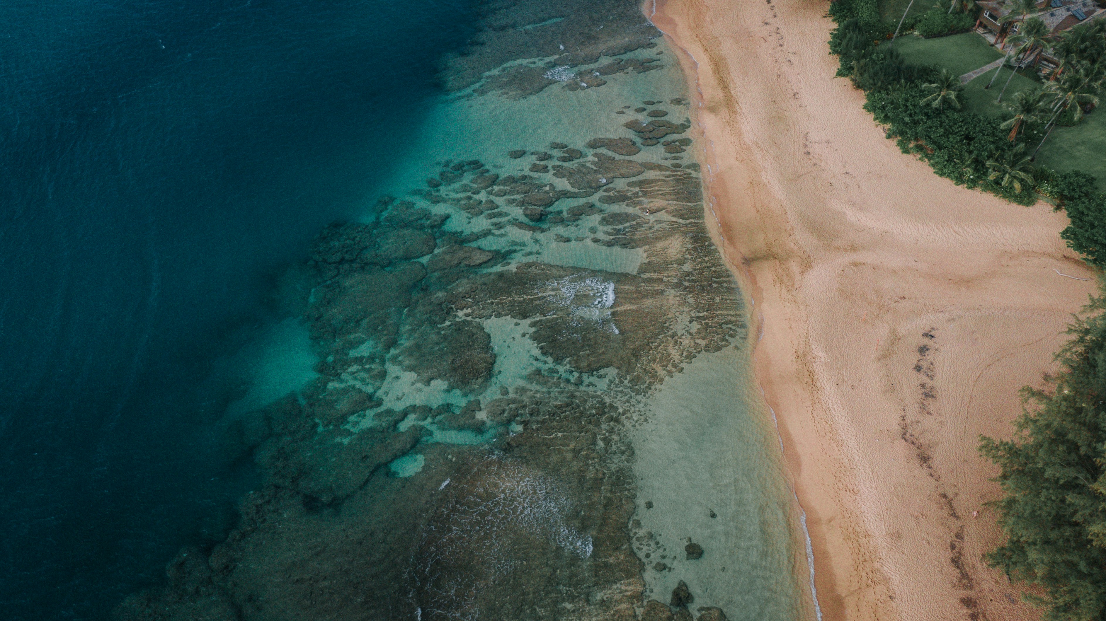 aerial view of brown sand beach