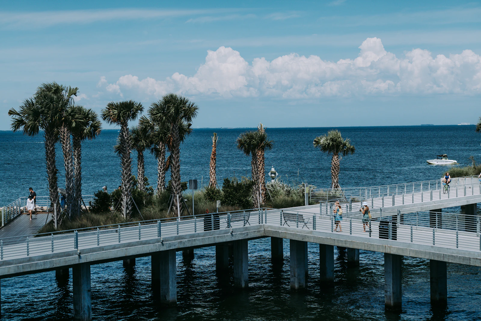 Representative image of the Downtown St. Pete area — photo 1