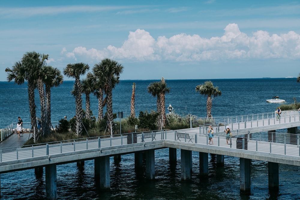 white wooden dock on body of water during daytime