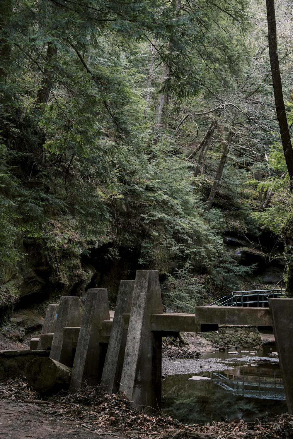 Puente de madera marrón en el bosque