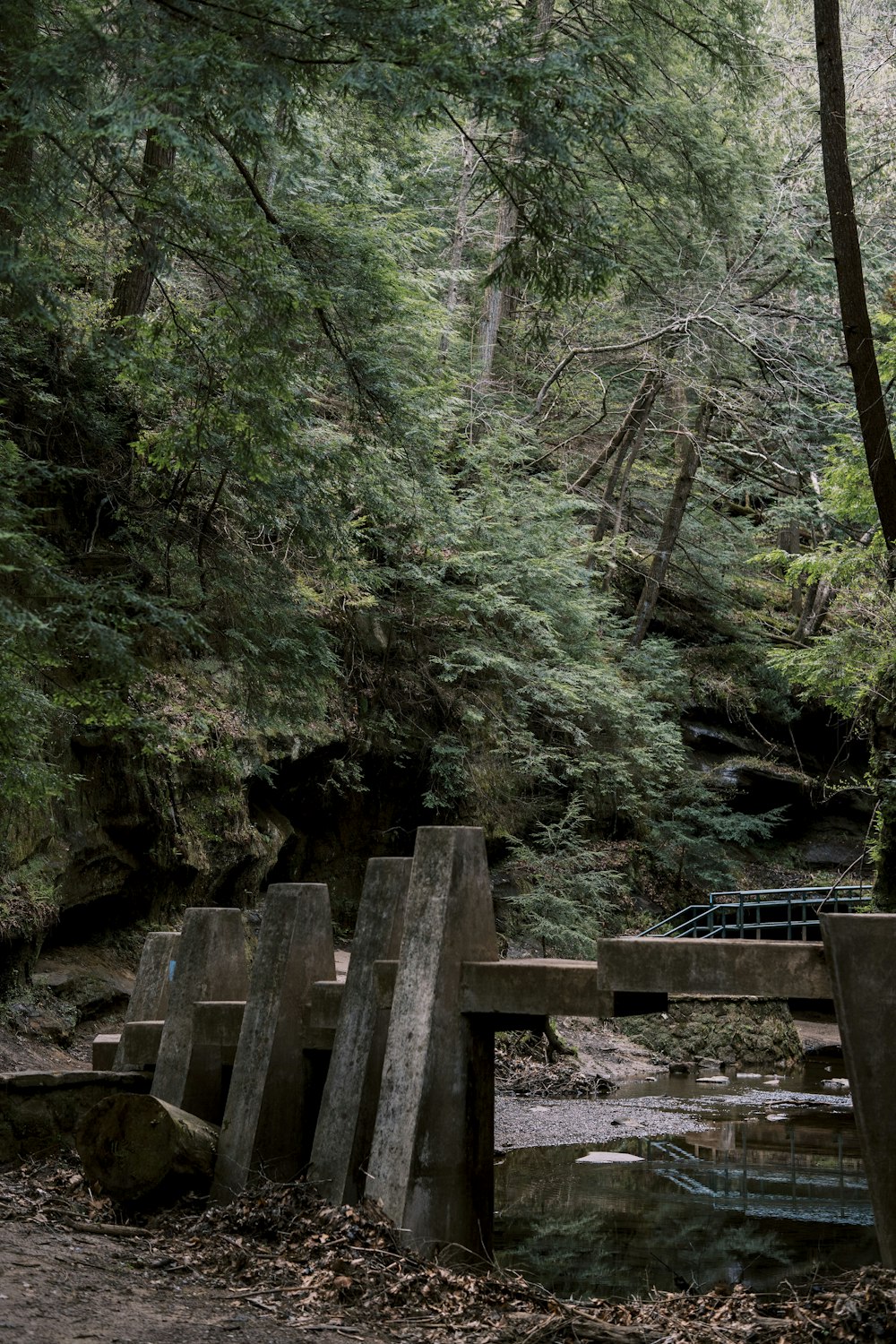 Braune Holzbrücke im Wald