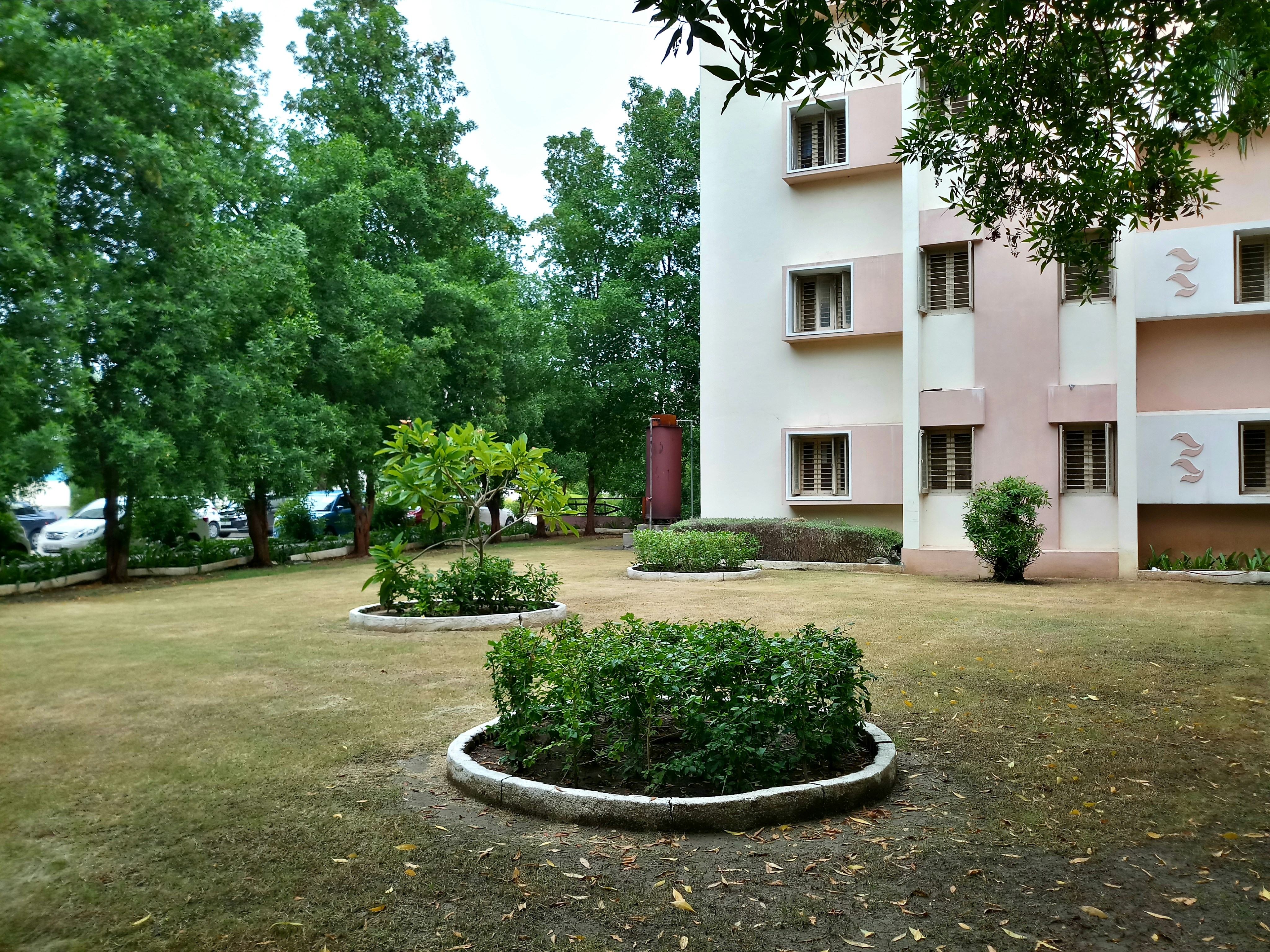 Photo by bhumikphotography