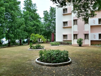 green grass field near white concrete building during daytime