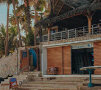 Best Vegetarian and Vegan Places in Cabo San Lucas Worth Visiting